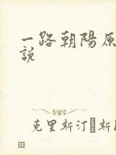一路朝阳原著小说