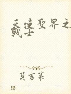 天使圣界之神之战士