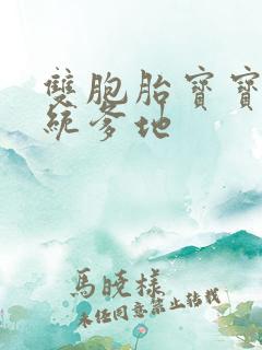 双胞胎宝宝的总统爹地