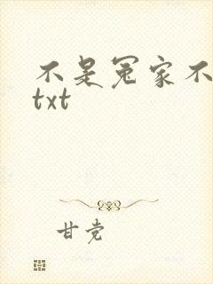 不是冤家不聚头txt