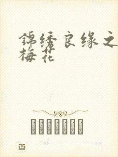 锦绣良缘之驿寄梅花