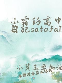 小霜的高中成长日记satofall