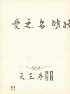 爱之名 明晓溪