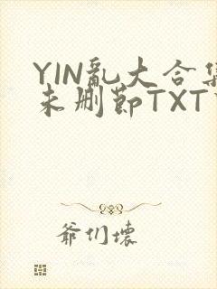 YIN乱大合集未删节TXT下载