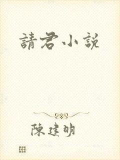 请君小说