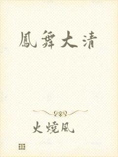 凤舞大清