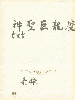 神圣巨龙魔法师txt