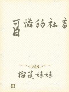 可怜的社畜东度日