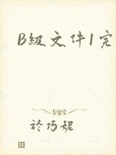 B级文件1完整