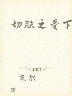 切肤之爱下载
