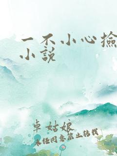 一不小心捡到爱小说