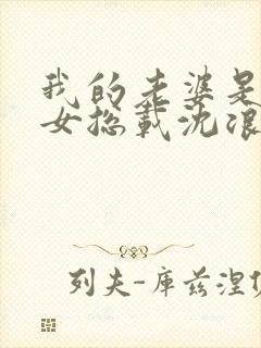 我的老婆是冰山女总载沈浪