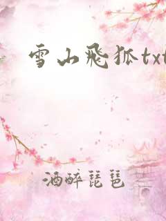雪山飞狐txt