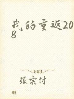 我的重返2008
