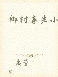 乡村春光小说