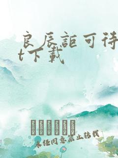 良辰讵可待txt下载