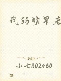 我的明星老豆