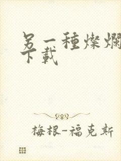 另一种灿烂生活下载