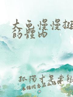 大龟慢慢挺进我的体内