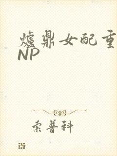 炉鼎女配重生之NP