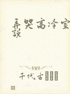 弄哭高冷室友小说