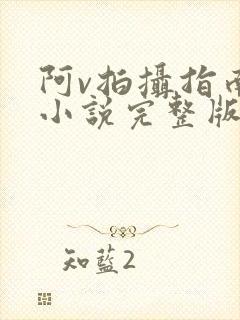 阿v拍摄指南说小说完整版