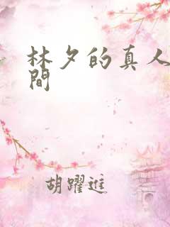 林夕的真人娃娃间