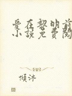 爱在黎明前降落小说免费阅读