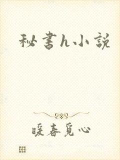 秘书h小说