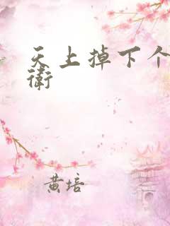 天上掉下个影卫卫