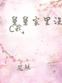 舅舅家里没人快C我