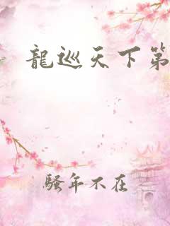 龙巡天下第四部