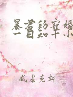 暴君的宠婚日常一日知千小说免费