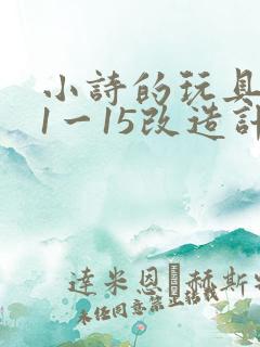 小诗的玩具日记1一15改造计划