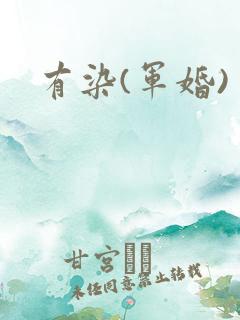有染(军婚)