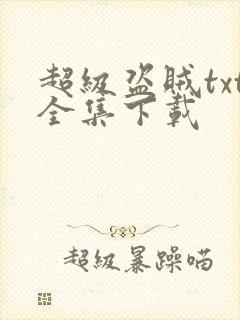 超级盗贼txt全集下载