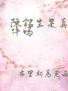 陈铭生是真实事件吗