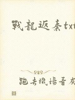 战龙返秦txt