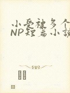 小受被多个攻强NP短篇小说