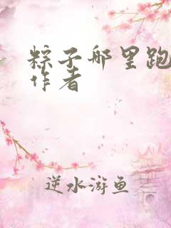 粽子哪里跑小说作者