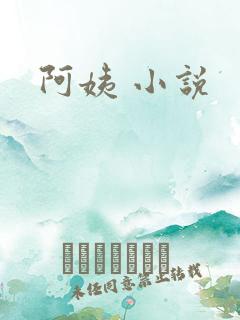 阿姨 小说