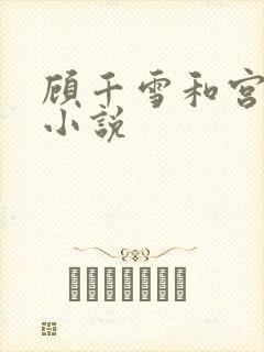 顾千雪和宫凌沨小说