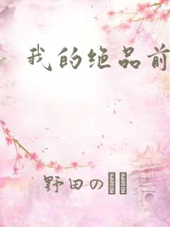我的绝品前妻