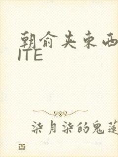 朝俞夹东西WRITE