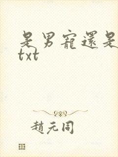 是男宠还是禁脔txt