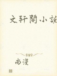 文轩阁小说网