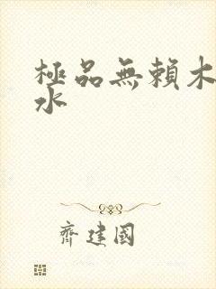 极品无赖木石山水