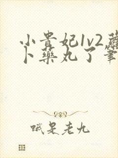 小贵妃1v2萝卜药丸了笔趣阁