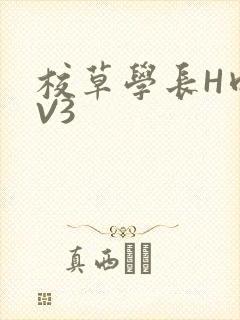 校草学长H肉1V3