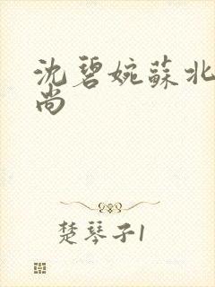 沈碧婉苏北宸和尚